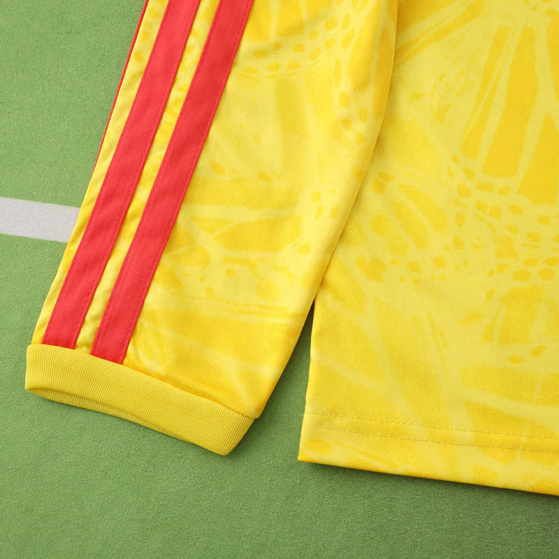 2026 FIFA World Cup Colombia home Long sleeved Fan version