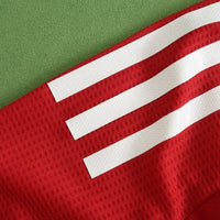 24/25 season Manchester United home Player version