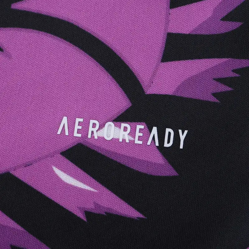 24/25 season Real Madrid CF Concept version Fan version