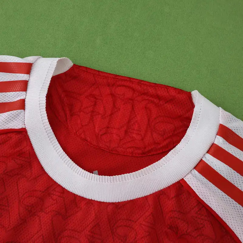 25/26 season Arsenal F.C. home Long sleeved Player version