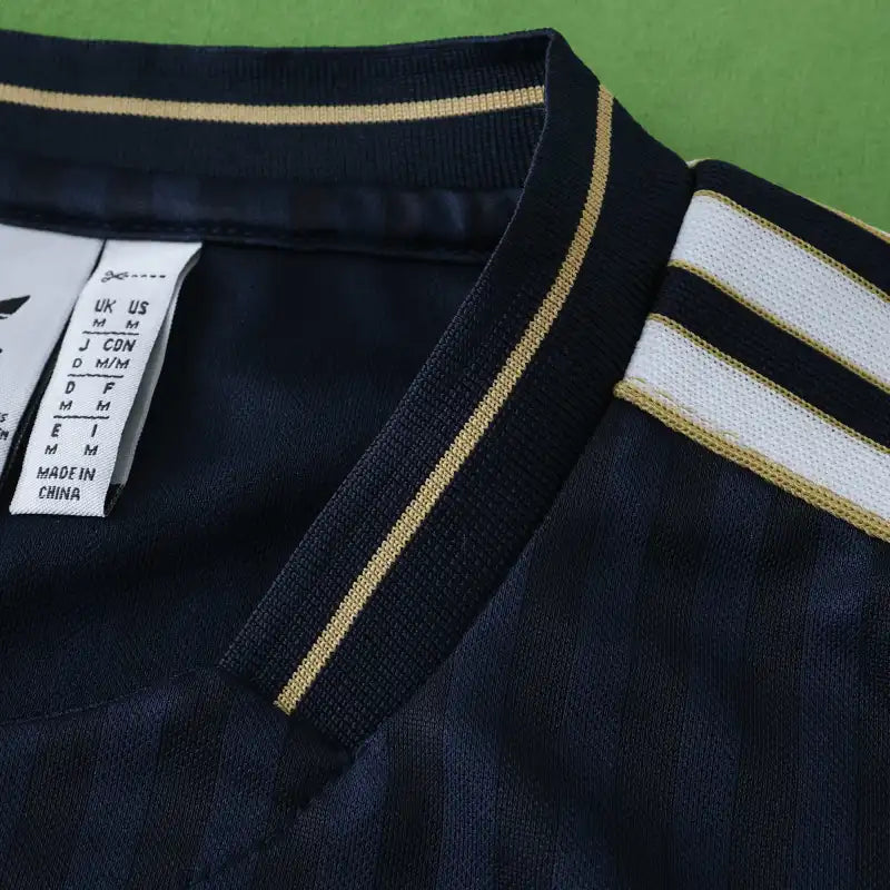 24/25 season Juventus F.C. Concept version Fan version