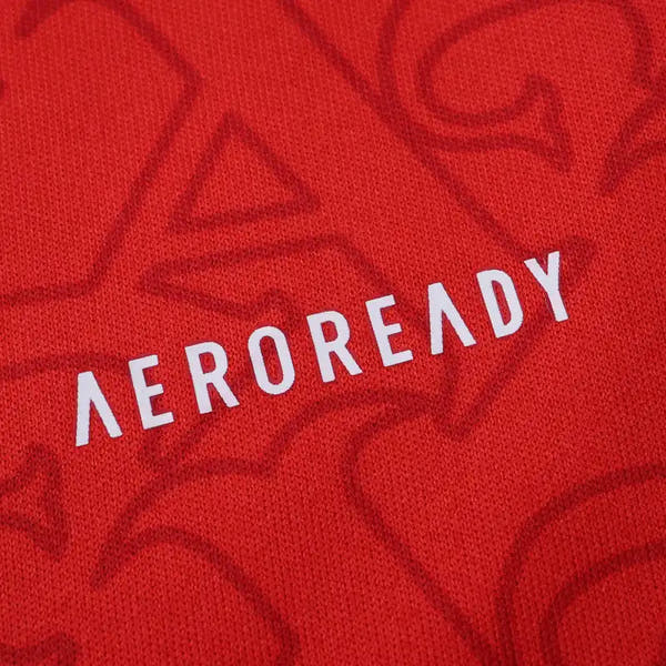 25/26 season Arsenal F.C. home Fan version