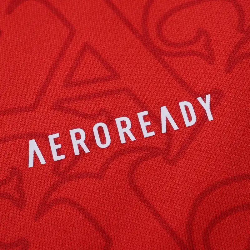 25/26 season Arsenal F.C. home Fan version