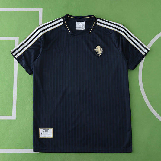 24/25 season Juventus F.C. Concept version Fan version