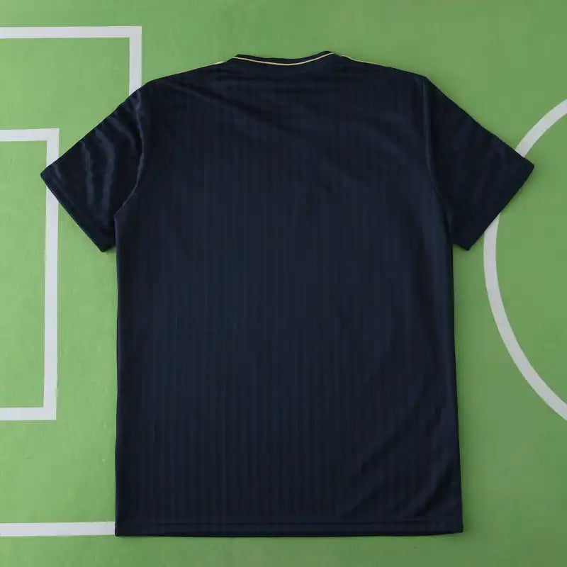 24/25 season Juventus F.C. Concept version Fan version