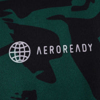 25/26 season Italy Concept version Fan version